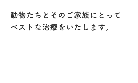 動物たちとそのご家族にとってベストな治療をいたします。