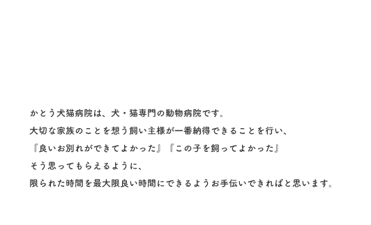 かとう犬猫病院は、犬・猫専門の動物病院です。大切な家族のことを想う飼い主様が一番納得できることを行い、『良いお別れができてよかった』『この子を飼ってよかった』そう思ってもらえるように、限られた時間を最大限良い時間にできるようお手伝いできればと思います。